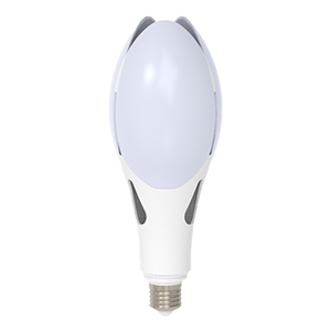 Bulb Olive