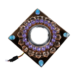 RDLG-R609-CL